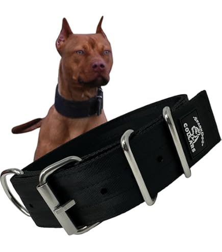 DOG COLLAR WIDE ブラック C1 - 1.5